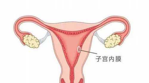 重庆试管代孕多少钱双胞胎|试管放2个胚胎的成活率怎样？做泰国试管婴儿怎么