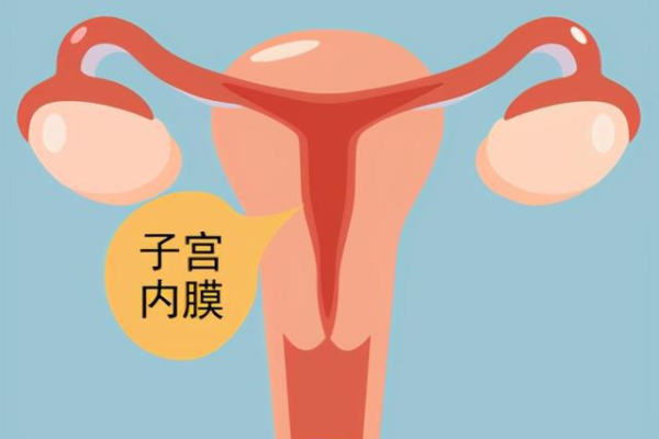 重庆助孕哪家机构好啊,重庆市计生医院做试管的全部费用大概是多少？