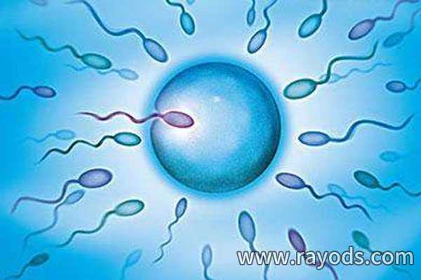 供卵生的孩子长得像谁的基因_男性不孕不育为什么越来越多？这些总结很到位