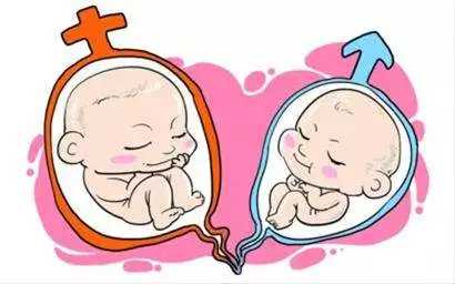 贵州好孕中介_试管婴儿胚胎移植能看出男女吗