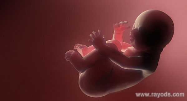 重庆找人代孕多少钱|试管婴儿胎停育如何保胎？这一点前往别忽略了。