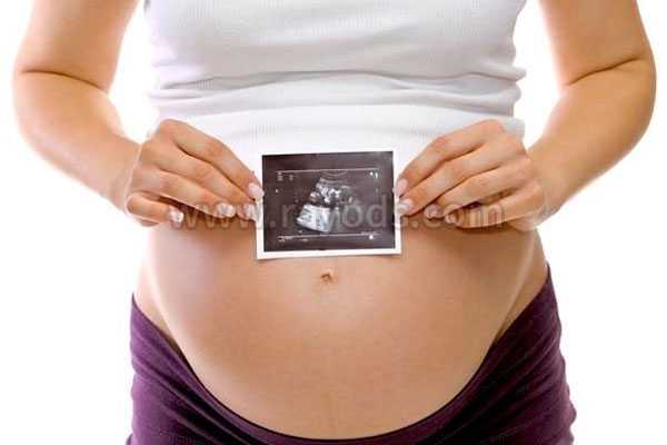 咨询泰国试管婴儿供卵机构_中信湘雅做的试管28没胎心胚芽还有保胎的必要吗