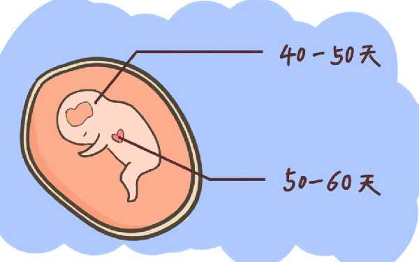 重庆供卵试管中心有去过吗 重庆试管婴儿免费政策具体条件? ‘3.9cm×1.8cm的孕囊