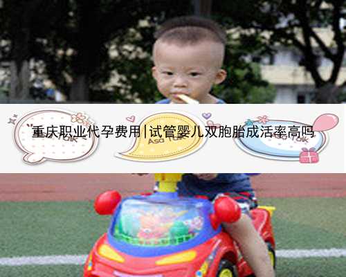 重庆职业代孕费用|试管婴儿双胞胎成活率高吗